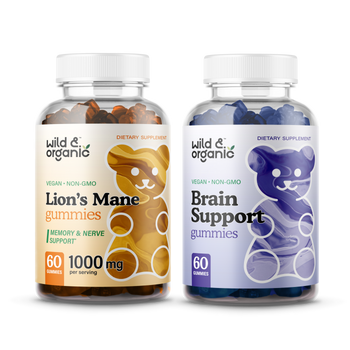 Lion's Mane & Brain Support bundle