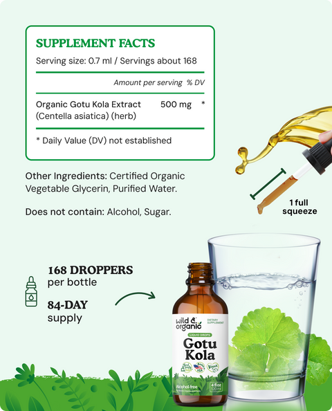 Bacopa & Gotu Kola Bundle