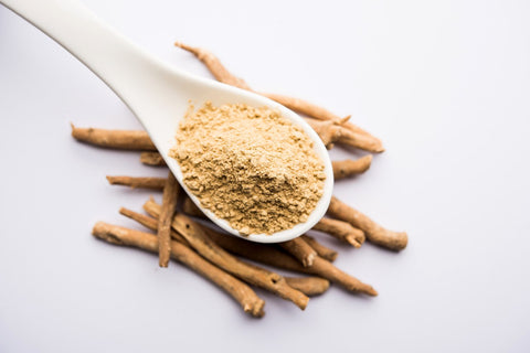 What Is Ashwagandha Extract and How Can This Herb Help You?