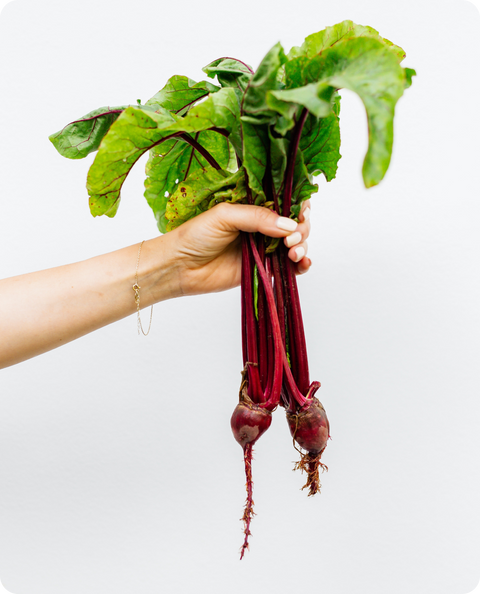 All About Beet Root