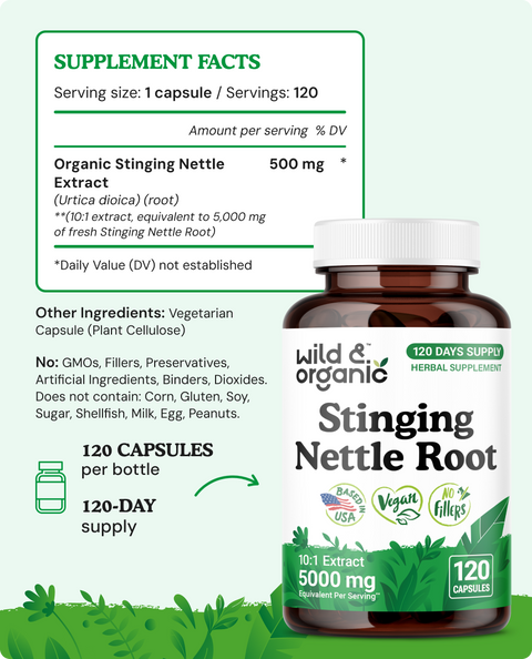 Stinging Nettle Root Capsules - 120 Count