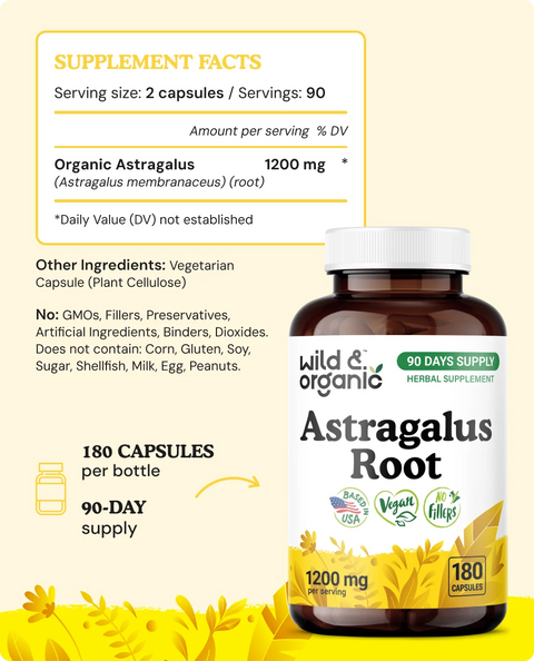Astragalus Root Capsules - 180 Count