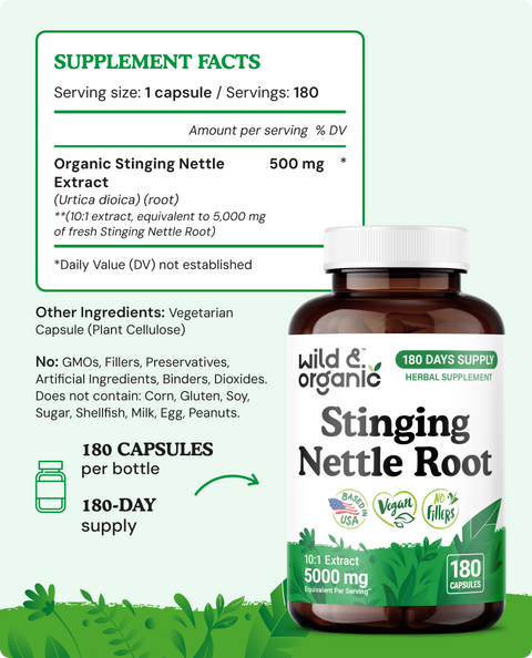 Stinging Nettle Root Capsules - 180 Count