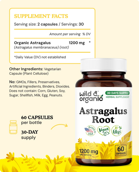 Astragalus Root Capsules - 60 Count