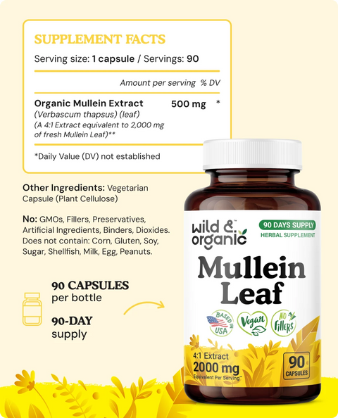 Mullein Leaf Capsules - 90 Count