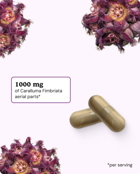 Caralluma Fimbriata Capsules - 60 Count