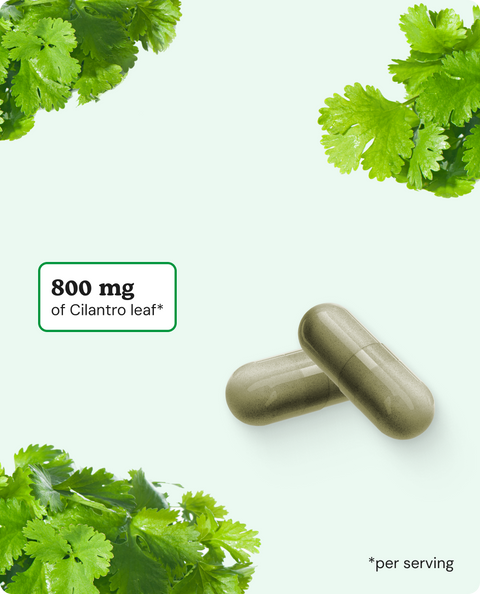 Cilantro Capsules - 90 Count