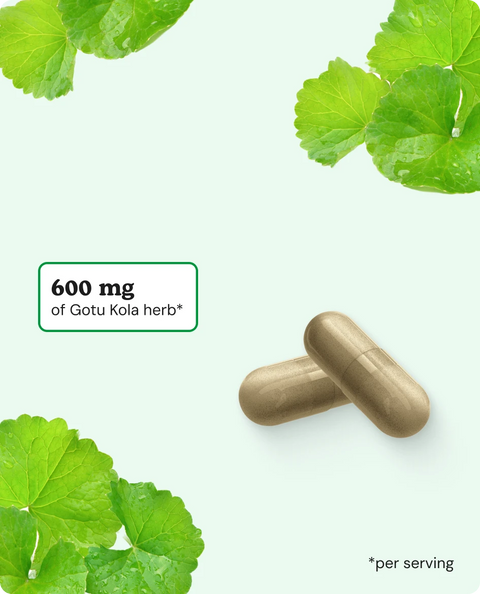 Gotu Kola Capsules - 90 Count
