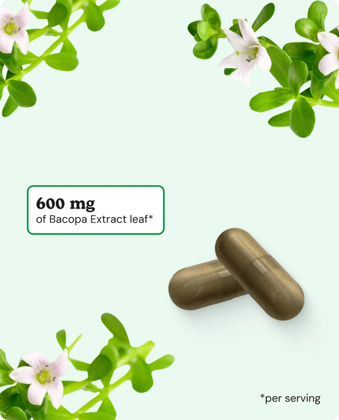 Bacopa Monnieri Capsules - 60 Count