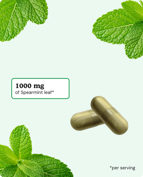 Spearmint Capsules - 90 Count