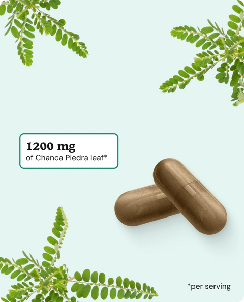 Chanca Piedra Stone Breaker Capsules - 180 Count