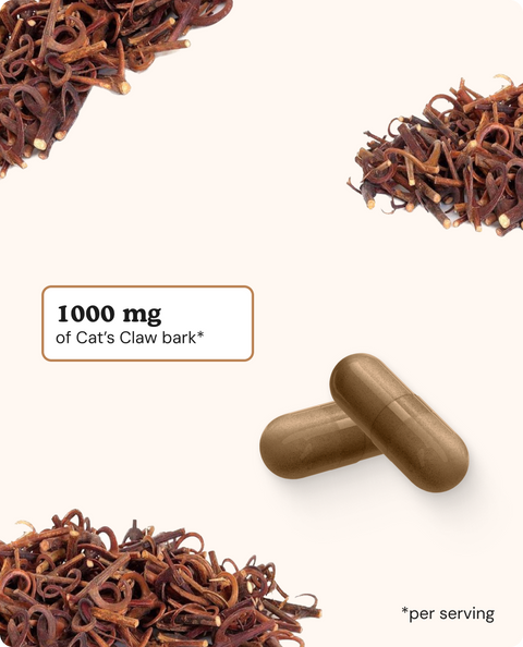 Cat’s Claw Capsules - 90 Count