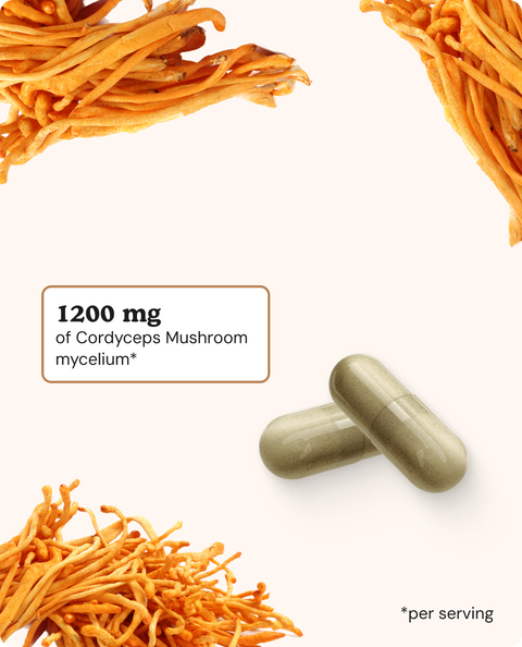 Cordyceps Mushroom Capsules - 120 Count