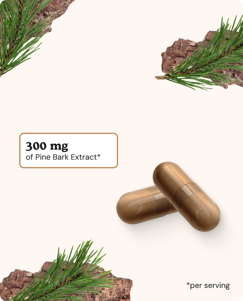 Pine Bark Extract Capsules - 90 Count