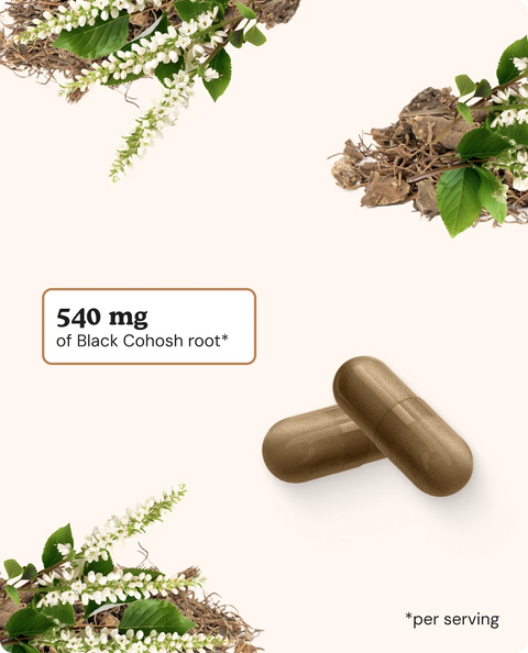Black Cohosh Capsules - 60 Count