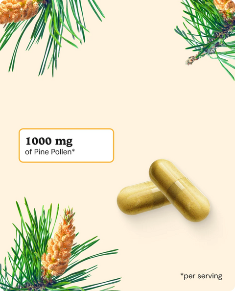 Pine Pollen Capsules - 90 Count