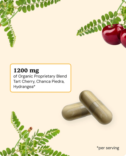 Uric Acid Formula Capsules - 90 Count