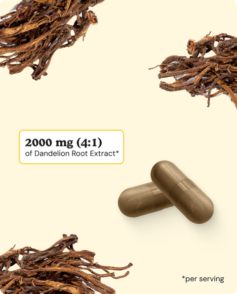 Dandelion Root Capsules - 90 Count