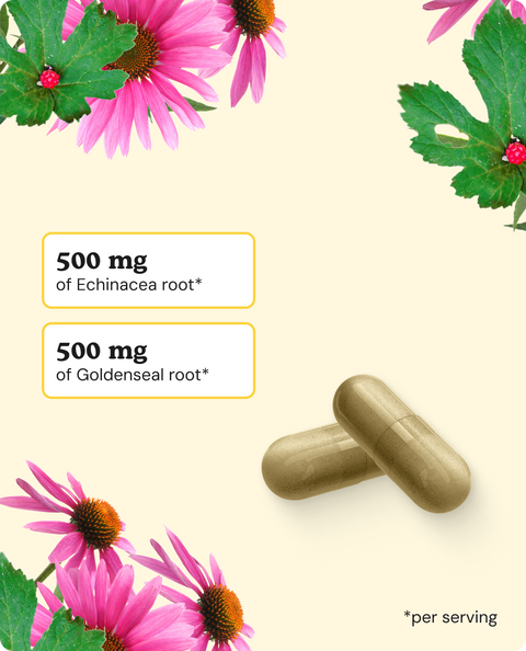 Echinacea & Goldenseal Capsules - 60 Count
