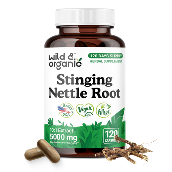 Stinging Nettle Root Capsules - 120 Count