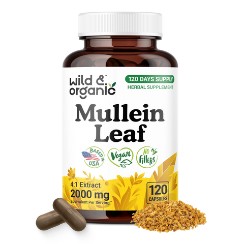 Mullein Leaf Capsules - 120 Count
