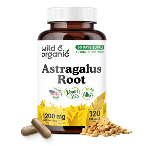 Astragalus Root Capsules - 120 Count