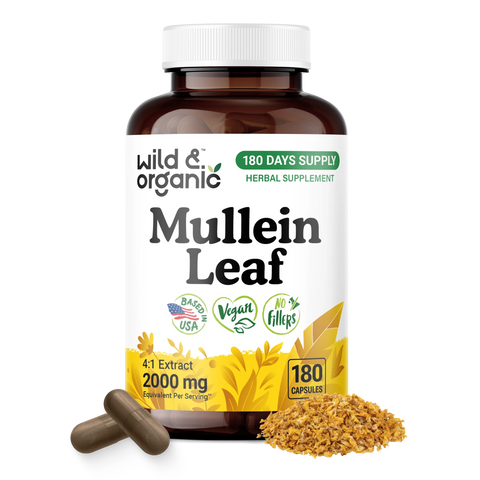 Mullein Leaf Capsules - 180 Count