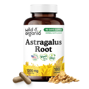 Astragalus Root Capsules - 180 Count