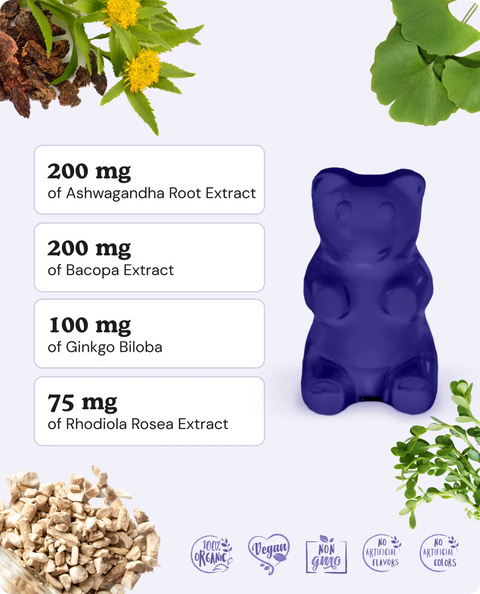 Brain Support Gummies