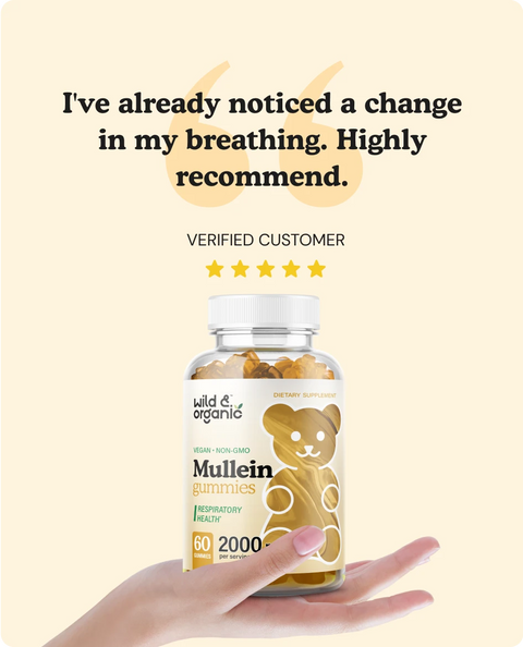 Mullein Gummies
