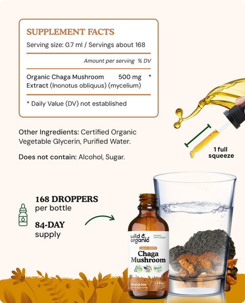Chaga Mushroom Tincture - 4 fl.oz. Bottle