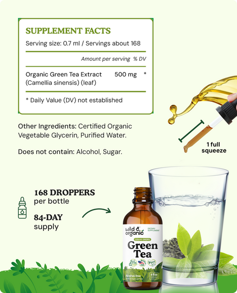 Green Tea Tincture - 4 fl.oz. Bottle