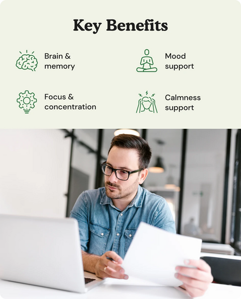 Ginkgo Biloba Leaf gummies benefits