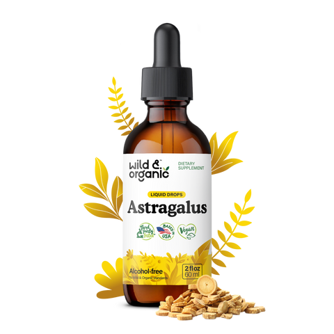 Astragalus Tincture - 2 fl.oz. Bottle