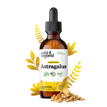 Astragalus Tincture - 2 fl.oz. Bottle