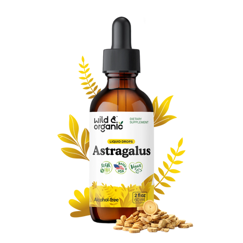 Astragalus Extract