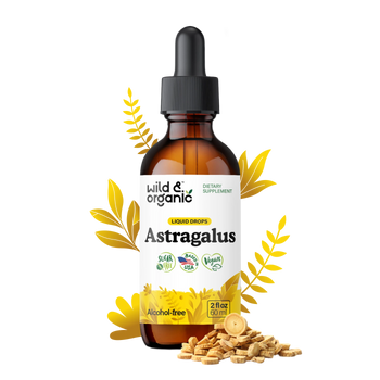 Astragalus Extract