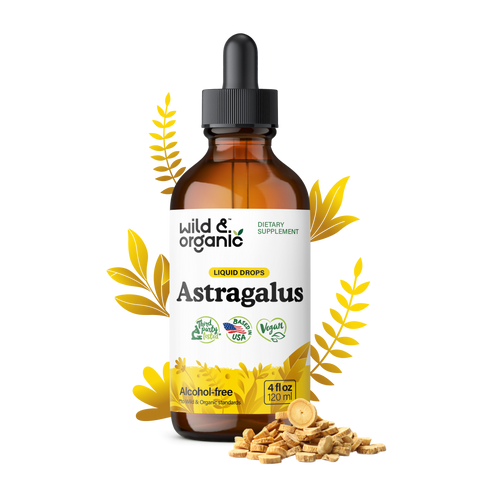 Astragalus Tincture - 4 fl.oz. Bottle