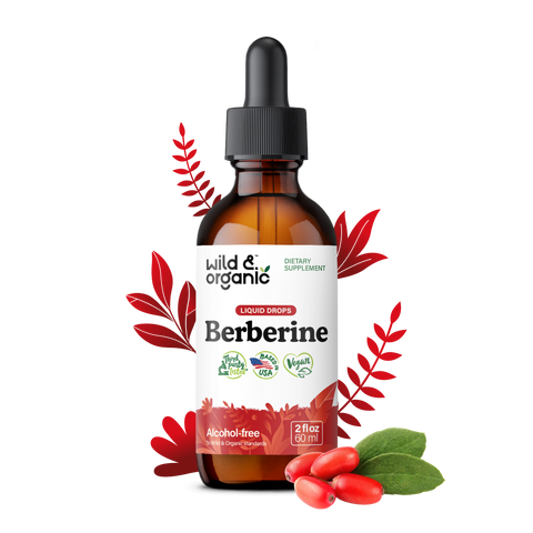 Berberine Tincture - 2 fl.oz. Bottle