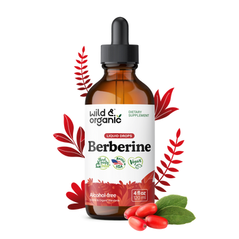 Berberine Tincture - 4 fl.oz. Bottle