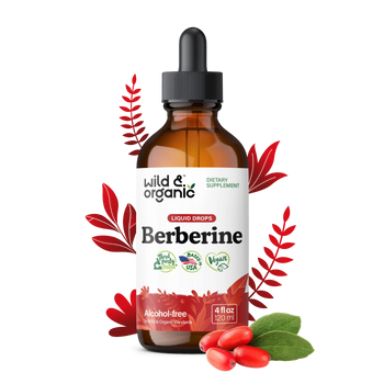 Berberine Extract