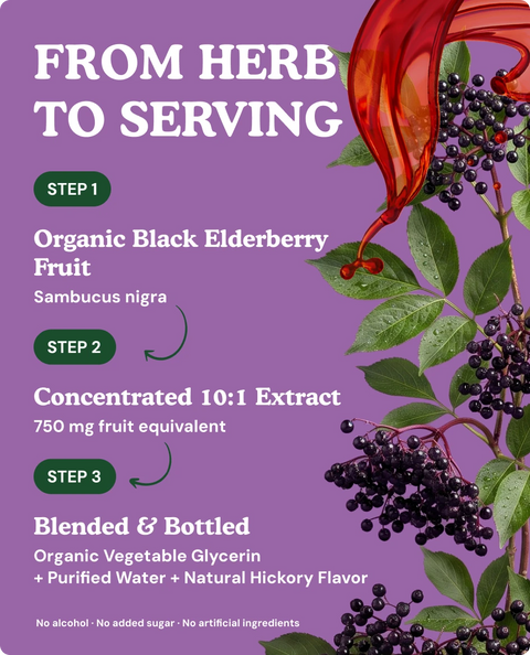 Organic Black Elderberry Tincture - 2 fl. oz.