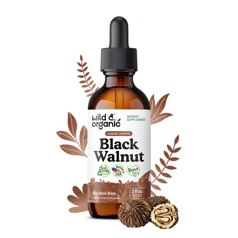 Black Walnut Tincture - 2 fl.oz. Bottle