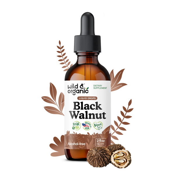 ÉCLAT Botanical Natural Black Nature's Tile HPD - Ivory Black - 89510T – Teknoflor