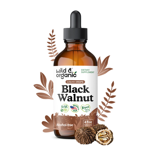 Black Walnut Extract