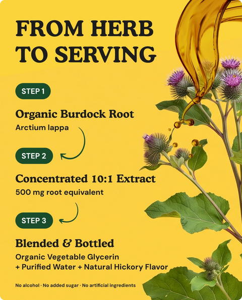 Organic Burdock Root Tincture - 4 fl. oz.