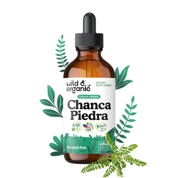 Organic Chanca Piedra Capsules (120 Count, 2 Bottles) – Kidney Health & Anti-Inflammatory Support, Quebra Pedra