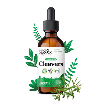 Cleavers Tincture - 2 fl.oz. Bottle