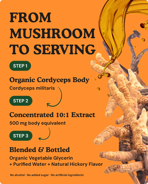 Organic Cordyceps Mushroom Liquid Drops - 4 fl. oz.