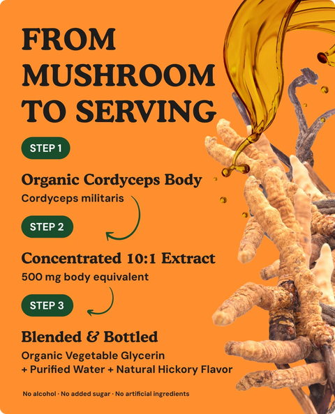 Organic Cordyceps Mushroom Liquid Drops - 2 fl. oz.